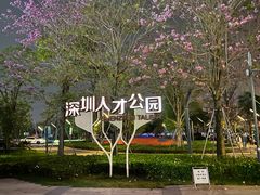 -深圳人才公园