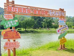 -千年银杏谷文化旅游区