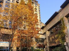 -梅间堂茶馆(绿地缤纷城店)