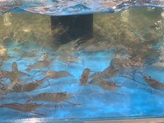 -盒马鲜生(联投广场店)
