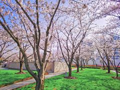 -龙美术馆西岸馆-停车场