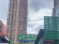 -曲阳花鸟市场(曲阳路店)