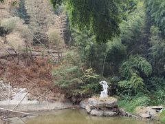 -长沙黑麋峰国家森林公园