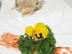 -蝶园·装修中(BFC外滩金融中心店)