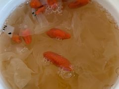 -优护佳月嫂育儿嫂中心(静安店)