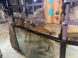 -酷嗒动物文化乐园(cutezoo西溪乐天城店)