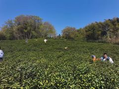 -橡皮虫国际美校(常发广场校区)