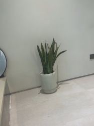 点击看大图 -VIM Hair Salon