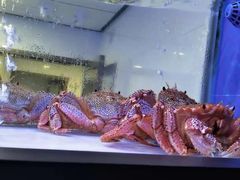 -澜棠海鲜(余姚阳明古镇店)