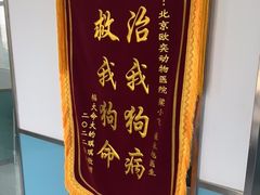 -欧奕国际动物医院