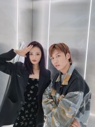 点击看大图 -金棕榈