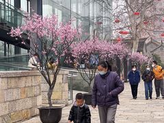 -回龙窝历史文化街区