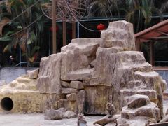 -广东茂名森林公园