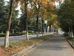 -麻喜大