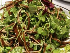 香椿苗拌豆腐丝-北平盛世·新京菜·北京烤鸭(劲松·双井店)