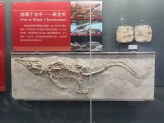 -大连自然博物馆
