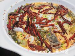 -首秀·四川料理(星耀101店)
