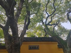 -西园戒幢律寺