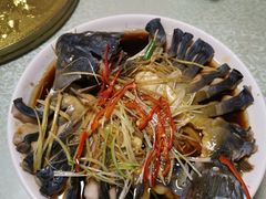 稀鳞硅鱼-煲来饱去冷水鱼