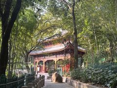 -灵岩山风景区