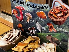 -季季山•云南野生菌火锅(上海首店)