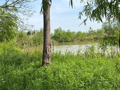 -盐城丹顶鹤湿地生态旅游区