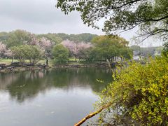 -范蠡湖公园