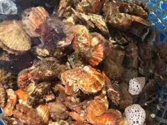 -张会海鲜饭店(东戴河店)