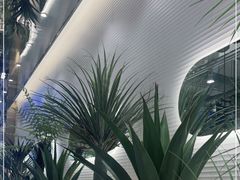 -兰湘子·湘菜小炒(崂山丽达店)