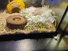 -太平洋海底世界