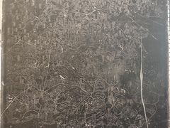 -苏州文庙(姑苏区)