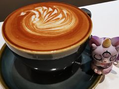 -飞行喵MR PILOT|猫舍·猫咖(静安大融城店)