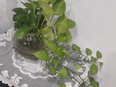 -御亭宫·SPA.按摩足疗头疗养生馆