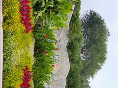 -国家植物园