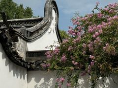 -上海醉白池公园