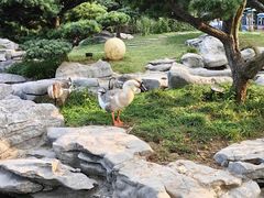 -扬州瘦西湖温泉