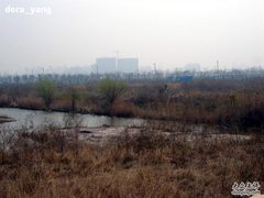-新江湾城公园