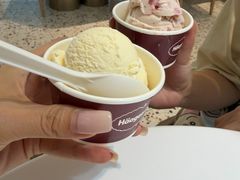 -哈根达斯(天河城店)