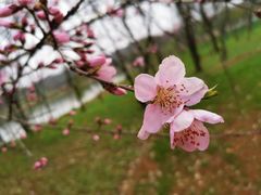 -盘龙城国家考古遗址公园