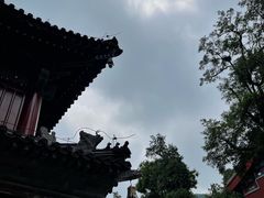 -香山公园
