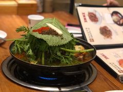 土豆排骨火锅-喇喇排骨火锅·传统韩式脊骨汤(望京西园总店)
