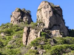 -大岭沟猕猴桃谷风景区