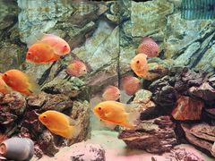 -多彩贵州城极地海洋世界