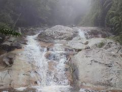 -霸王岭国家森林公园