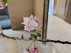 -南堂馆·新川菜(天府三街店)