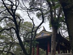 -乌山风景区