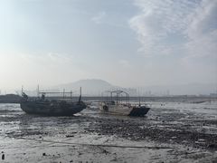 -北岐滩涂