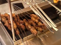 -鼎原力量东北吊炉烧烤(幸福街店)