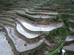 -紫鹊界梯田景区