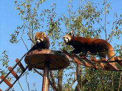 -杭州野生动物世界